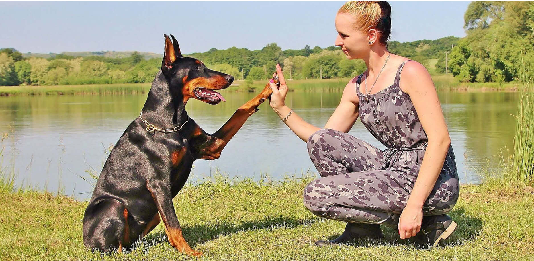 Wenn Bello zum Tierarzt muss: Die richtige Hundekrankenversicherung für Ihren Hund